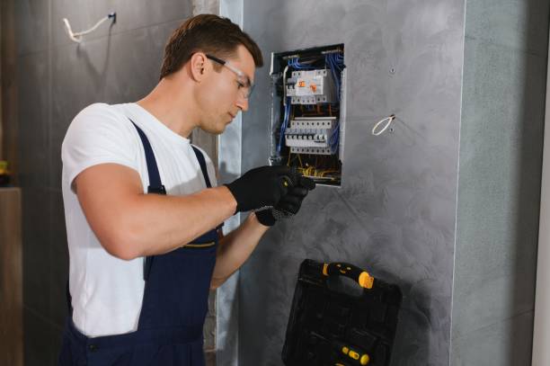 Best Generator Installation Services  in Wyoming, IL
